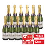 ショッピング送 送無 セット12 シャンブレ ブラン ド ブラン ブリュット 750ml×12本 スパークリングワイン フランス 送料無料