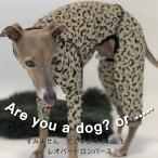 ショッピングレオパード レオパードロンパース　【すみません犬ですか？】Are you a dog? Or ....（イタリアングレイハウンド イタグレ イタグレ服）メール便送料無料