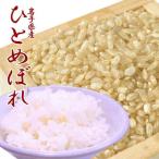令和７年 お米 送料無�