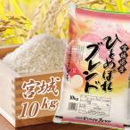 米10kg 送料無 安い 訳�