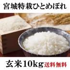 米 お米 10kg 宮城県産 
