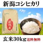 ショッピング新潟 お米 30kg 新潟県産 上越こしひかり 令和5年 玄米 白米(27kg)送料無料 無料精米 二等 単一米 検査米