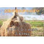 令和6年産 【天日干し】宮城県産 ひとめぼれ 10kg(玄米 10kg) 宮城県 登米産 一等米 米 10kg 健康食 未調整玄米 *沖縄県送料2000円