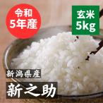 ショッピング玄米 令和5年 新之助 新潟県産  玄米5kg×2（10kg）