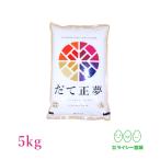 新米 米 5kg だて正夢 �