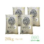 ササニシキ 宮城県産 米 5kg×4袋 お米 20kg 令和2年産 宮城県産 白米 送料無料 精白米