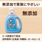3個セット シャボン玉スノール 無添加 洗たく用せっけん 液体タイプ 1000ml 敏感肌 赤ちゃん衣類 送料無料（北海道・沖縄除く）