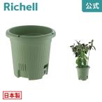  вода lak.. хорошо сделанный круг 30 type 085913 Ricci .ruRichell официальный магазин 