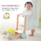 手押し車 赤ちゃん 木製 カタカタ 赤ちゃん 出産祝い 1歳 おもちゃ ひよこのカタカタ 押し車 かたかた ベビーウォーカー 簡単組立て ヒヨコ