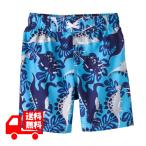 子供用 水着 男の子 恐竜の柄  ciRco ティラノサウルス 水泳 スイミング ラッシュガード 90 水着80