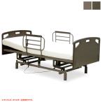 16 день P15%~ электрический bed наклонный bed 2 motor одиночный подниматься и опускаться тип поручень высота регулировка уход для 