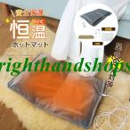 足元ヒーター ホットマット ホットカーペット 恒温55℃ 手洗いOK フットウォーマー USB 足温器 電気 ホットマット ミニ 足入れ 一人用