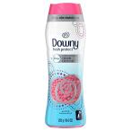 Downy 正規輸入品 ダウニーフレッシュプロテクト ビーズ 衣類の香りづけと防臭専用 エイプリルフレッシュ (春の太陽のようなフレッシュな香り