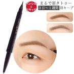 2Wayアイブロウペンシル イージークイック 単品 アイブロウリキッド タトゥー 眉 眉毛 アートメイク 日本製 三喜工業 nkp bnm