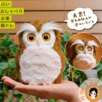 ハッピーふくろう 梟 ふくろう フクロウ ぬいぐるみ タカラトミーアーツ ペット しゃべる 占い 脳トレ 歌 可愛い おもちゃ 60s bnm