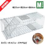 動物捕獲器 動物捕獲檻 猫 アニマルトラップ Mサイズ 66cm×26cm×23cmトラップ 箱罠 イタチ 駆除 捕獲 踏板式 捕獲機 動物 小動物 子猫 罠 鼠 保護 庭 畑 餌 ア