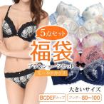 大きいサイズ ブラショーツセット 福袋 ５点入り モールドカップ 下着 B85 B90 B95 C85 C90 C95 D85 D90 D95 D100 E80 E85 E90 E95 E100 F80 F85 ネコポス不可