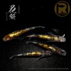 三色体外光 / 花魁〈2ペア〉/めだか処 利久庵/生体 成魚