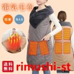 電気毛布 ひざ掛け 掛け敷き 洗える 着る電気毛布 大きいサイズ USB給電式 掛け毛布 発熱 電熱 肩掛け 電気ブランケット ヒーター付き 裏起毛 寒さ対策  防寒