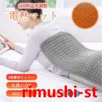 「秋冬あったかい応援」 ホットカーペット 寒さ対策 ホットマット 洗濯できる 足元 2サイズ 6段階温度調節 タイマー 折りたたみ 省エネ