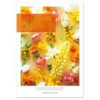 ハーモニック カタログギフト TAKE YOUR CHOICE (テイク・ユア・チョイス) カーネーション 5000円コース