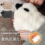  грелка заряжающийся грелка тепловое хранение тип грелка электрический грелка Северная Европа модный симпатичный подарок подарок простой яблоко. ...