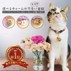 セーフティバックル 猫 首輪 子犬 