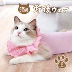  домашнее животное кошка . после одежда ветеринарный воротник ветеринарный воротник ..... после одежда .. рука . не . рука . уход одежда кожа. защита облизывание предотвращение яблоко. ...