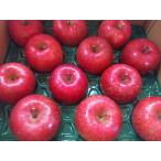  Aomori яблоко солнце ..[ специальный отбор .. для ] [ большой шар ] 10kg(24~28 шт )