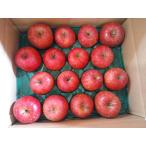  Aomori яблоко солнечный ..[ есть перевод ] 10kg(28~36 шт )
