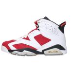ナイキ サイズ_26cm AIR JORDAN 6 RETRO Carmin 384664-160 エアジョーダン6レトロカーマインスニーカー 中古 BS99