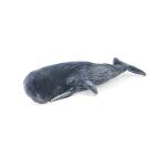 【ホエール プラッシュ】 抹香鯨 (マッコウクジラ) 大型ぬいぐるみ 90cm