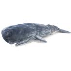【ホエール プラッシュ】 抹香鯨 (マッコウクジラ) 特大ぬいぐるみ 120cm