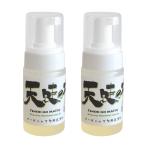 【リンナイスタイル】天使の松 泡ボトル2個セット 掃除 エコ洗剤 キッチン洗剤 バス洗剤 トイレ洗剤 環境洗剤 マルチ洗剤 米ぬか ヤシ 松の木【製造元出荷】