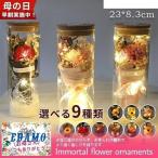 母の日 ギフト プリザーブドフラワー ガラス 枯れない花 永遠の花 ナイトライト ボトル 結婚式 発表会 誕生日 記念日 ラッピング済み