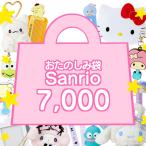 サンリオ 福袋 2025 おたのしみ袋 サンリオキャラクターズ Sanrio グッズ まとめ売り ハッピーバッグ 女の子 子ども プレゼント 送料無料