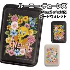  Looney * Tunes MagSafe соответствует карта бумажник LTS-66 /tui- чайный пакетик s*ba колено 