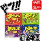 ロールキャンディ　全4種×各6個　(