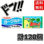  йогурт жевательная резинка + синий яблоко жевательная резинка каждый 1 коробка (55+ на 5) итого 120 шт ma LUKA waf-sen жевательная резинка дагаси ( выгодный 2 коробка комплект )