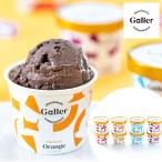 ガレープレミアムアイスクリーム８個セット チョコレートアイス キャラメル ベルギー王室御用達  高級 濃厚アイスクリームセット 詰合せ ギフト お中元