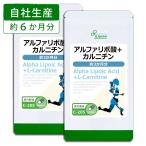 アルファリポ酸+カルニチン 約3か月分×2袋 C-205-2 送料無料 サプリ サプリメント
