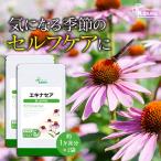  echinacea approximately 1. month minute ×2 sack C-117-2 supplement health 