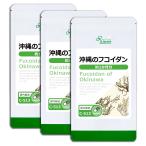 沖縄のフコイダン 約1か月分×3袋 C-513-3 サプリメント 送料無料