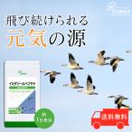 イミダゾールペプチド 約1か月分 C-529 サプリメント イミダペプチド 健康