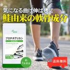プロテオグリカン 約1か月分 C-533 (30