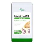 にんにく＋しょうが 約3か月分 C-162 サプリメント 健康 送料無料