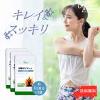酵素ダイエット (旧商品名 スリム酵素) 約1か月分×3袋 T-659-3 サプリメント ダイエット 送料無料