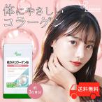 低分子コラーゲン粒 約3か月分 T-682 (360粒) サプリメント 美容