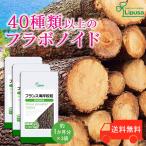 ショッピングフランス フランス海岸松粒 約1か月分×3袋 T-705-3 (120粒×3袋) サプリメント 健康 サプリ