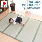 国産 畳マット 四つ葉  4連タイプ(シングル)約100×200cm 厚み_約1.3cm（最厚部）置き畳 ユニット畳 4つ折れ  カビ対策 布団の下に敷く